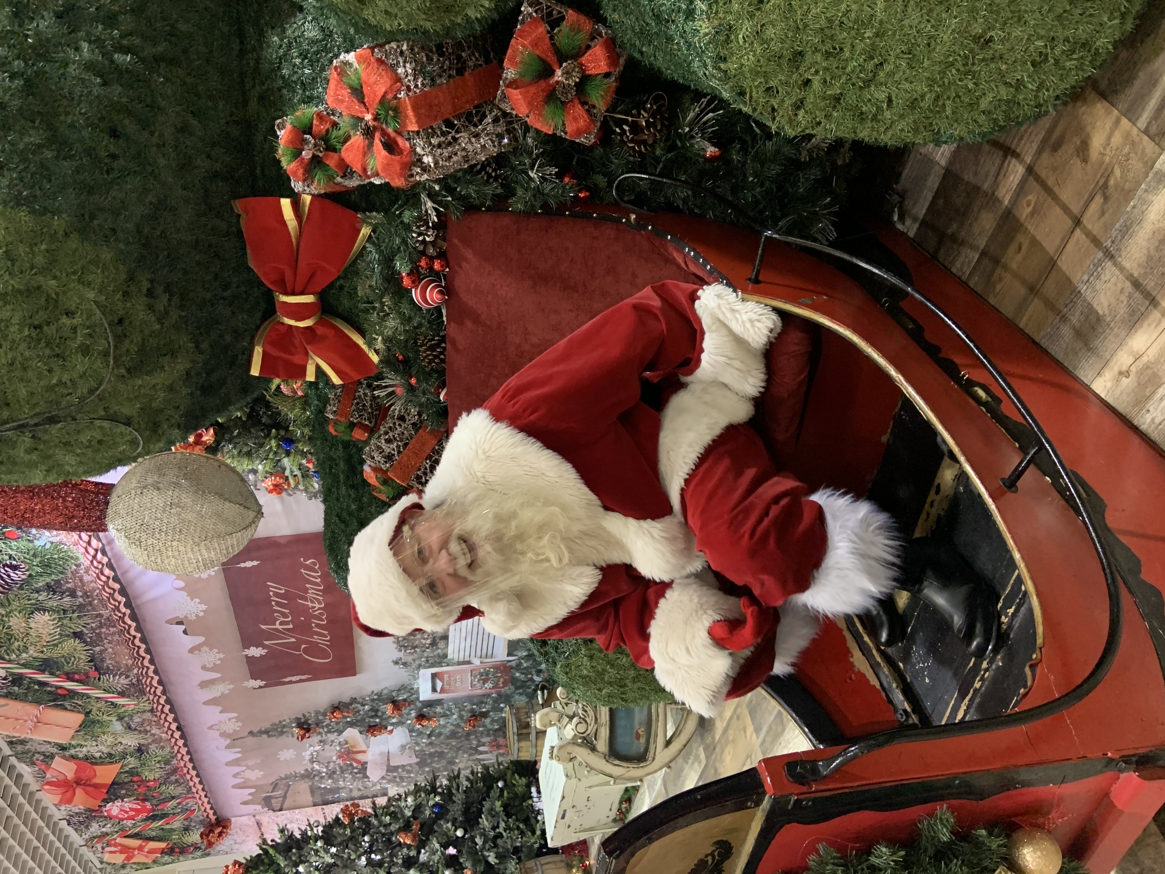 Tom dressed as Santa in a sleigh